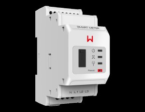 GoodWe - GMD1000-02-00P / GM1000D - GMD1000-02-00P